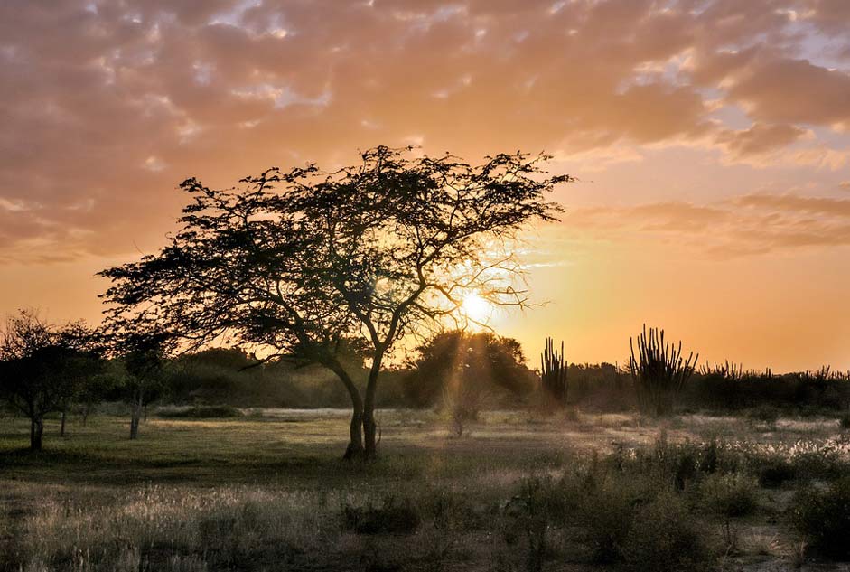 Venezuela Las-Guevaras Margarita-Island Sunset