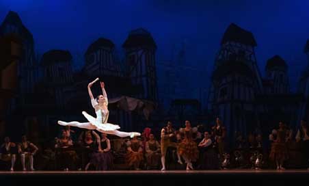 Ballet Performance Ballerina Don-Quixote Picture