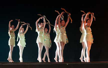 Ballet Dancer Ballerina Performance Picture