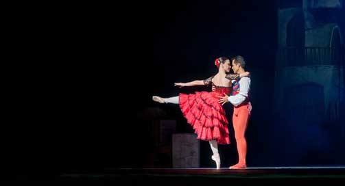 Ballet Ballerina Don-Quixote Performance Picture