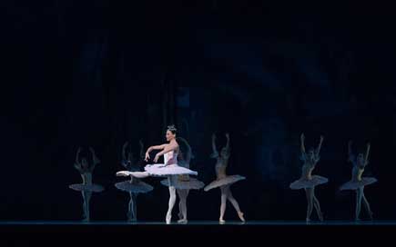 Ballet Ballerina Don-Quixote Performance Picture