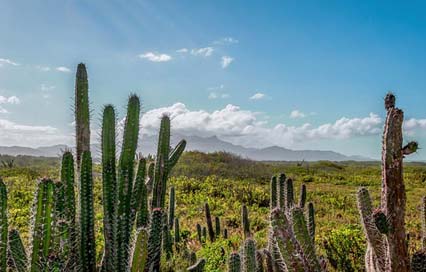 Venezuela Clouds Sky Landscape Picture