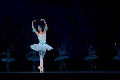 Ballet Don-Quixote Performance Ballerina Picture