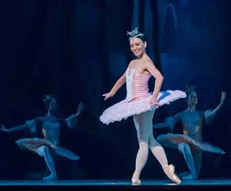 Ballet Don-Quixote Performance Ballerina Picture