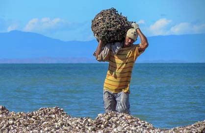 Venezuela Water Ocean Sea Picture