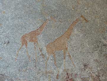 Giraffes Zimbabwe Matobo Clips-Painting Picture